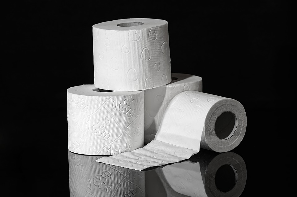 toilet-paper-3964492_960_720 toilet-paper